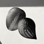 Two organic-shaped stainless steel wall brooches with white line-art organic patterns, displayed on a split gray and white background with the text 'INSPIRED BY THE RHYTHM OF NATURE' and a 'B' logo.

